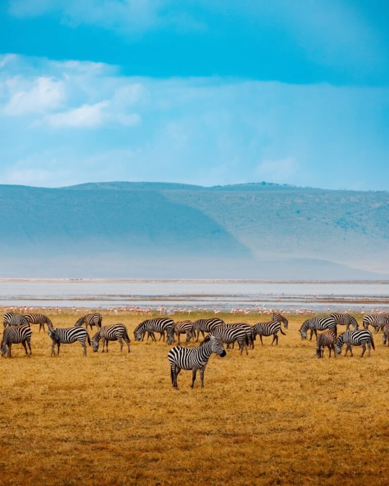 Ngorongoro Crater - Tanzania Safari