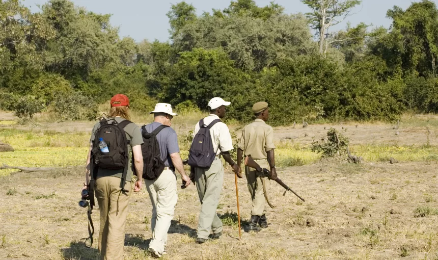 Essential Things to Know Before Your Safari